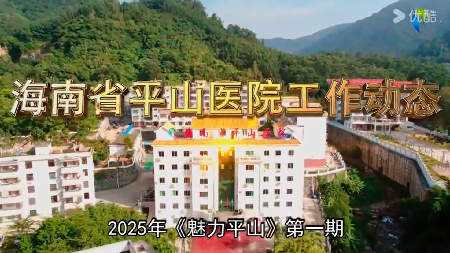 《魅力平山》2025年第一期